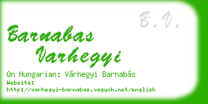 barnabas varhegyi business card